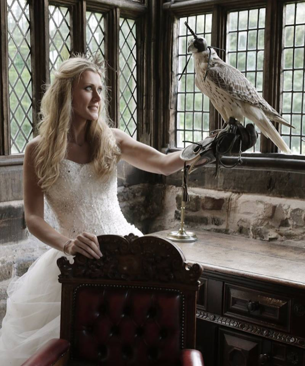 Hawkeye Falconry - image hawkeye-1 on https://onlineweddingdirectory.co.uk