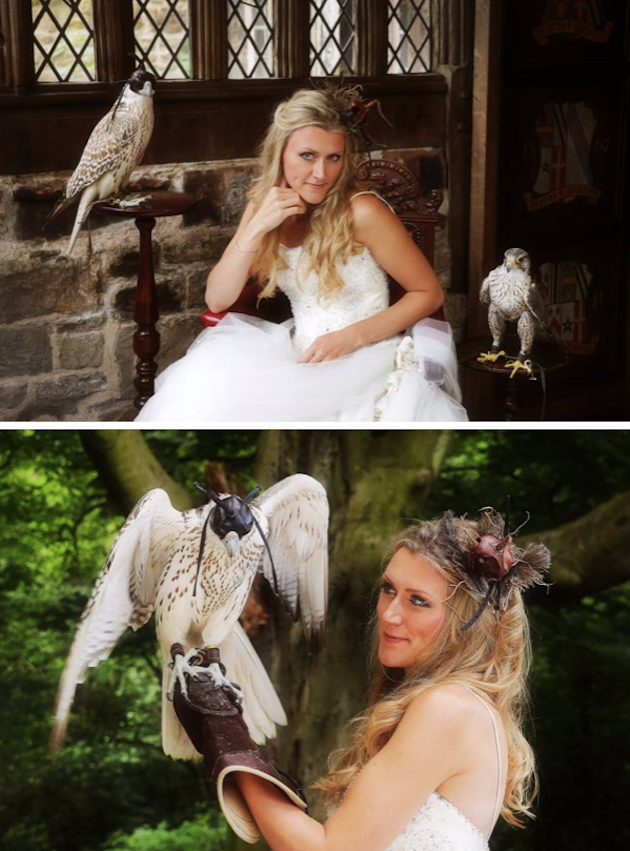 Hawkeye Falconry - image hawkeye-2 on https://onlineweddingdirectory.co.uk