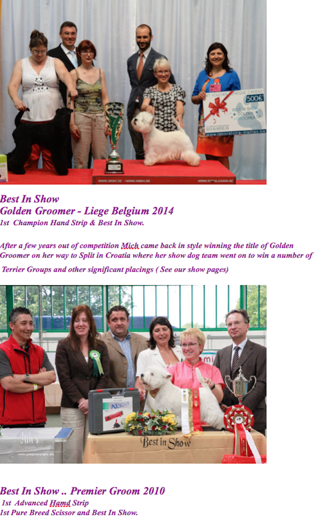 Pooch Perfect Canine Stylist, Hotel & SPA - image pooch-perfect-2 on https://onlineweddingdirectory.co.uk