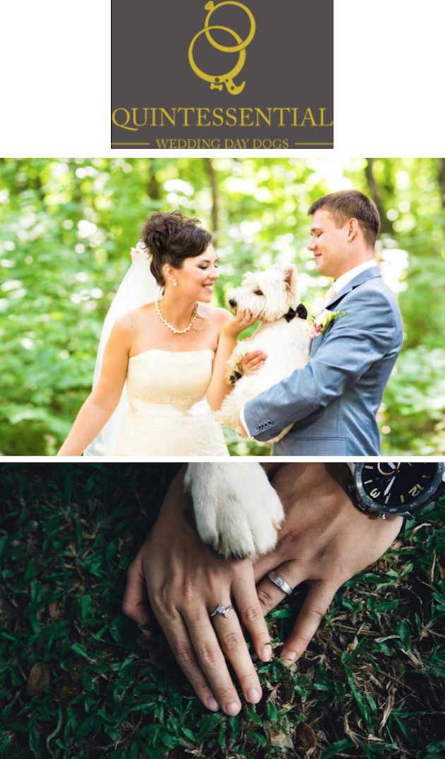 Quintessential Wedding Day Dogs - image quintessential on https://onlineweddingdirectory.co.uk