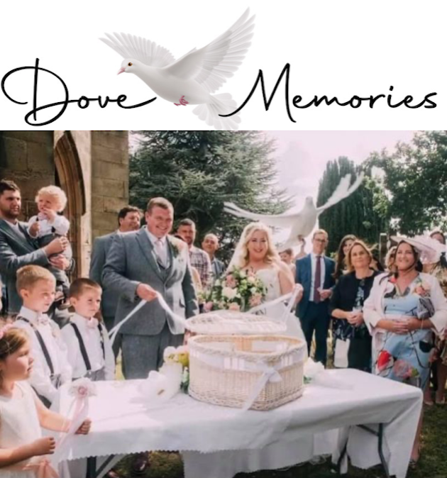 dove memories